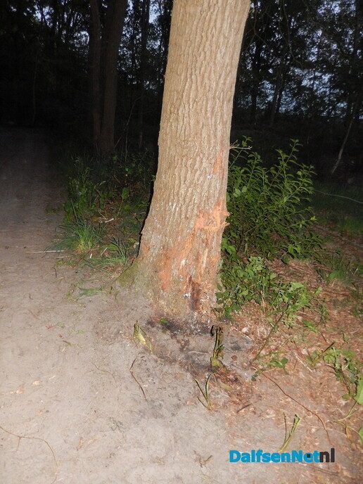Aanrijding Zandwijkallee