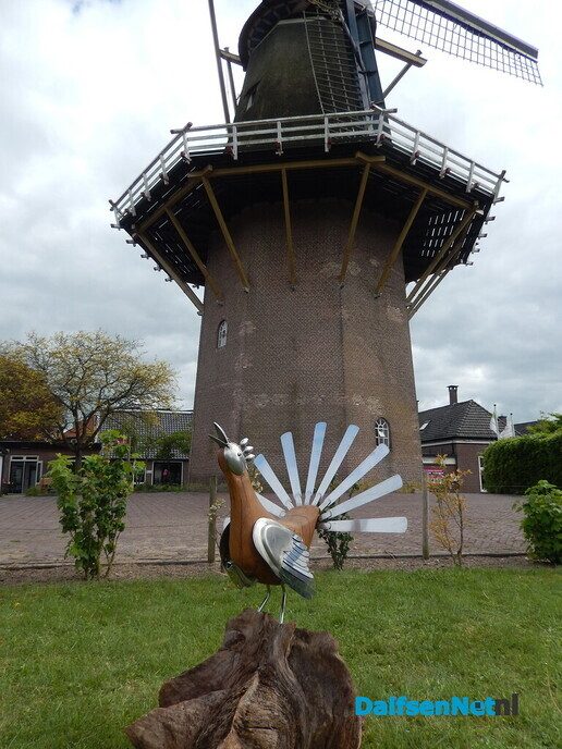 Kunst rond de molen en het Anjerpunt