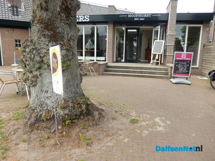 Kunst rond de molen en het Anjerpunt