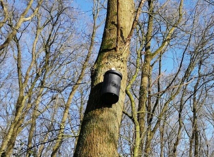 Geen bordjes bij de vleermuiskasten: verboden voor mezen - Foto: Ingezonden foto