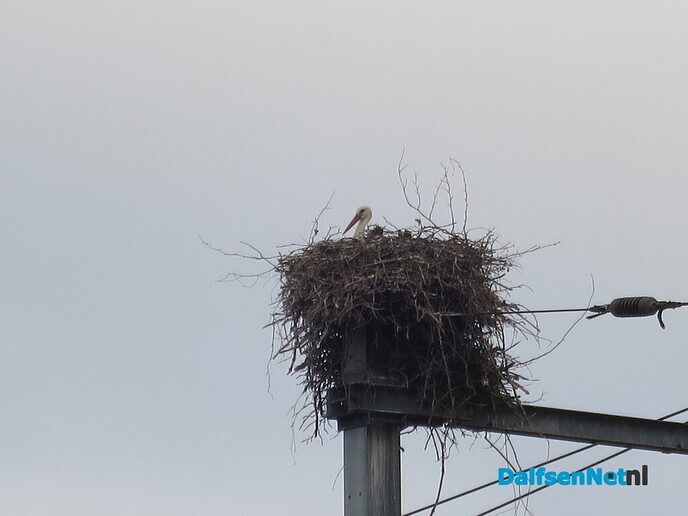 Wim de wandelman weer vroeg op pad - Foto: Wim
