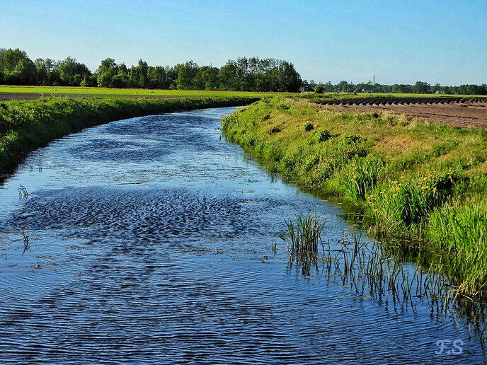 Ooit van Takkenhoogte gehoord? - Foto: Femmie Smink