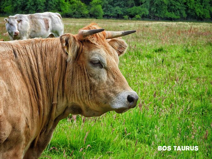 Femmie wandelt de natuurschoon te gemoed, deze keer Arrien - Foto: Femmie Smink
