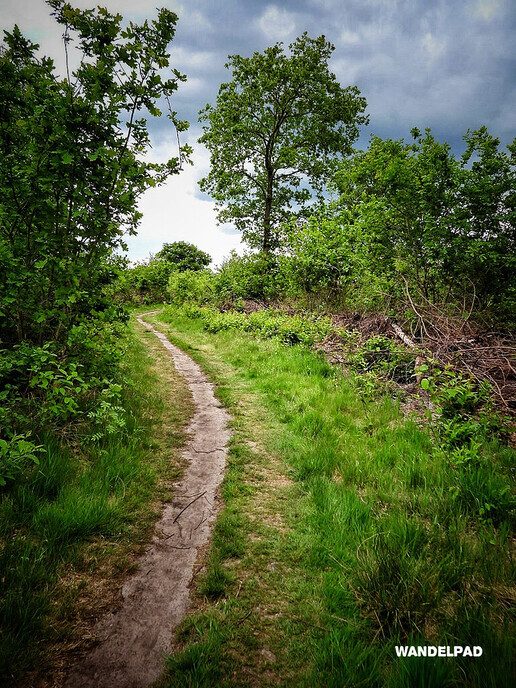 Femmie wandelt de natuurschoon te gemoed, deze keer Arrien - Foto: Femmie Smink