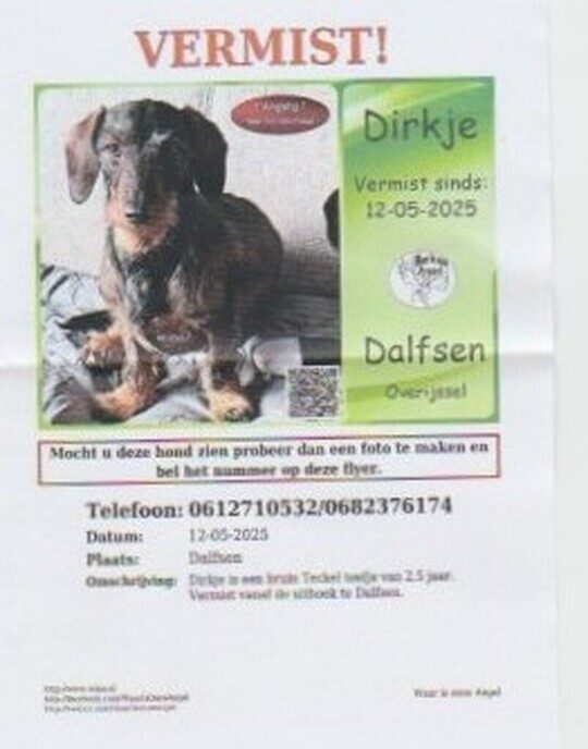 Dirkje vermist - Foto: Ingezonden foto