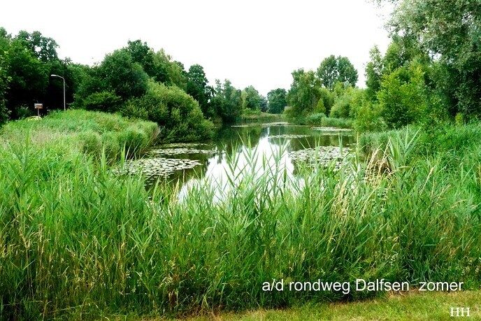  Foto’s aan de Rondweg Dalfsen - Foto: Ingezonden foto