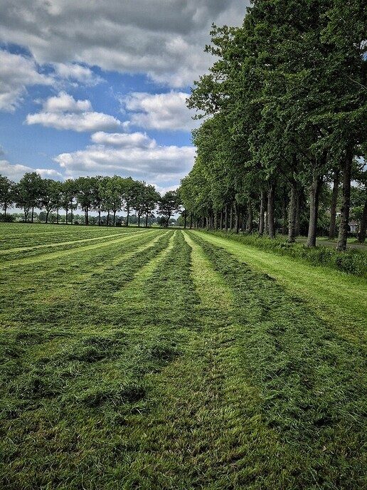 In landelijk Nieuwleusen is het ook prachtig - Foto: Femmie Smink