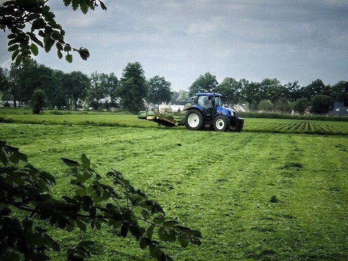 In landelijk Nieuwleusen is het ook prachtig - Foto: Femmie Smink
