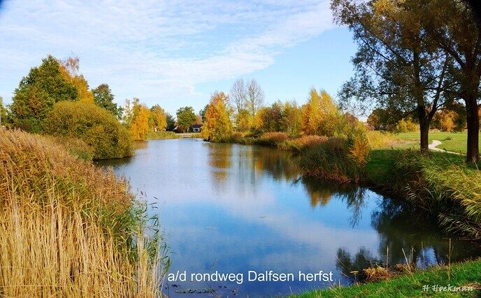  Foto’s aan de Rondweg Dalfsen - Foto: Ingezonden foto