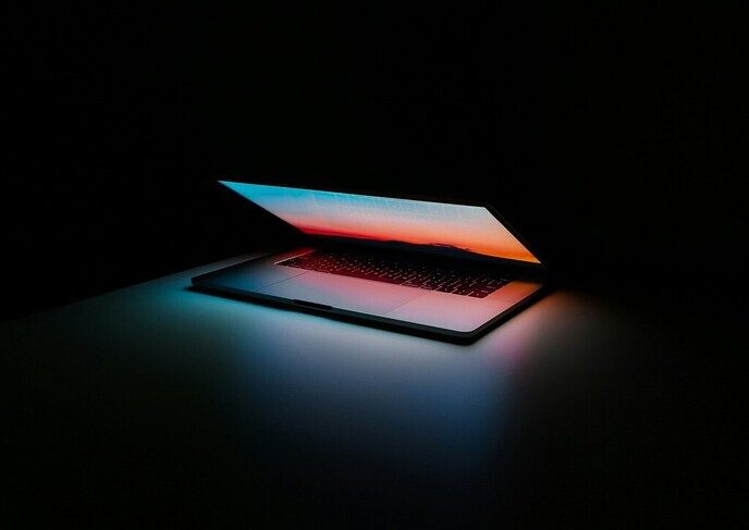 Kan technologie Dalfsen verbonden houden nu meer diensten online gaan?