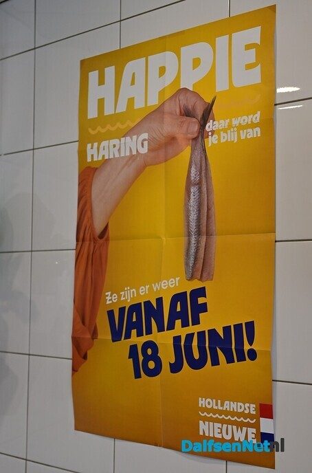 Hollandse Nieuwe gearriveerd bij Visspeciaalzaak Dalfijn in Dalfsen - Foto: Johan Bokma
