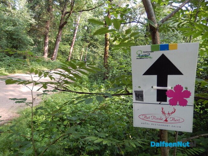 Deelnemers van de “Groene Looper”: wat een bofkonten - Foto: Willy