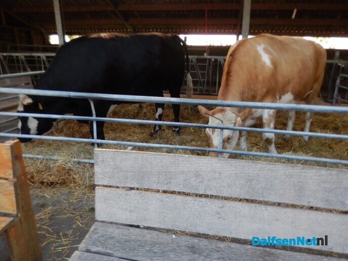 Een gezellige boerenmarkt Buitenplaats Vechterweerd - Foto: Willy