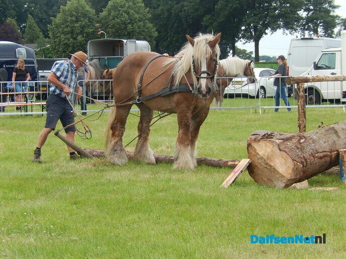Vervolg foto’s sproeifeest zaterdag - Foto: Willy