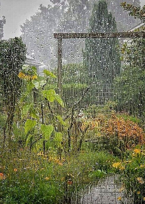 Insecten keken mee bij tuinwerkzaamheden - Foto: Femmie Smink