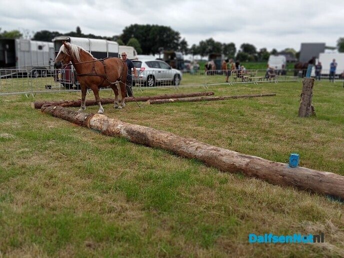 Vanmorgen volop activiteiten op het sproeifeest - Foto: Wim