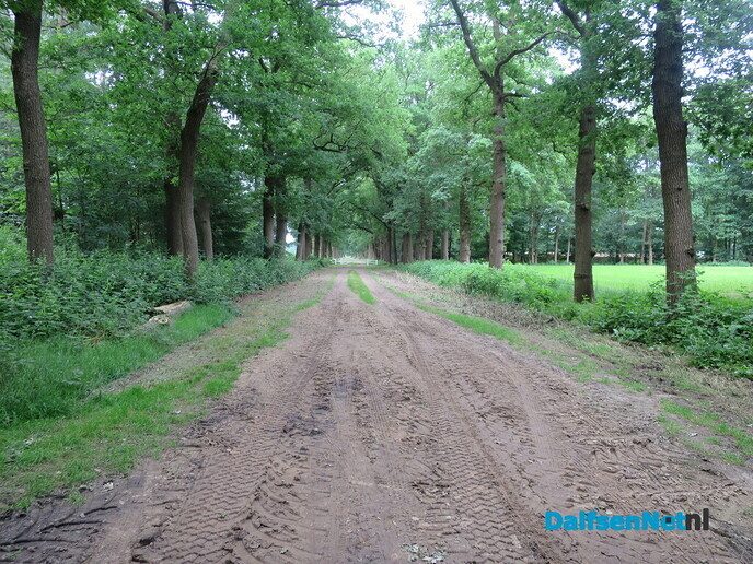 Struinen door de bossen van Dalfsen - Foto: Wim