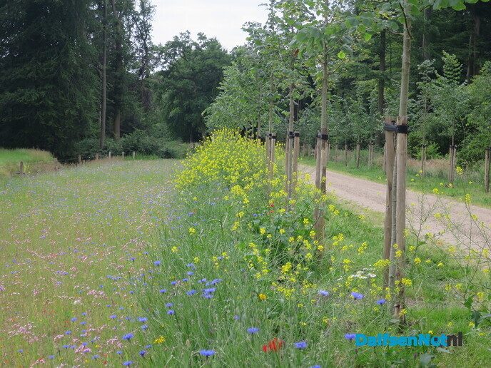 Struinen door de bossen van Dalfsen - Foto: Wim