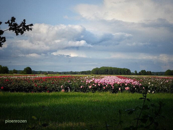 Femmie is niet aan het oefenen voor Nijmegen - Foto: Femmie Smink