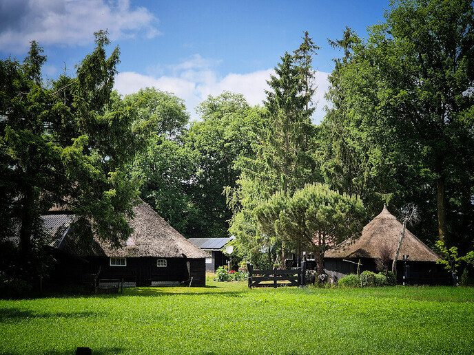 In landelijk Nieuwleusen is het ook prachtig - Foto: Femmie Smink