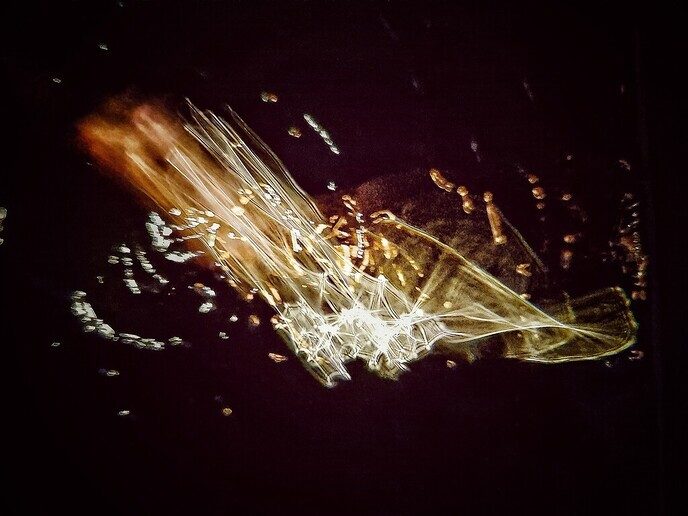 Abstract - Foto: Femmie Smink
