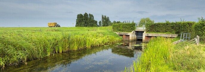 Typisch Nederlandse zomer doet droogte goed - Foto: Ingezonden foto