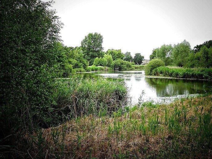Bellingeweer (1) - Foto: Femmie Smink