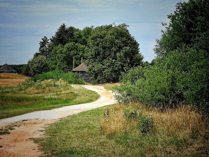 Bellingeweer (1) - Foto: Femmie Smink