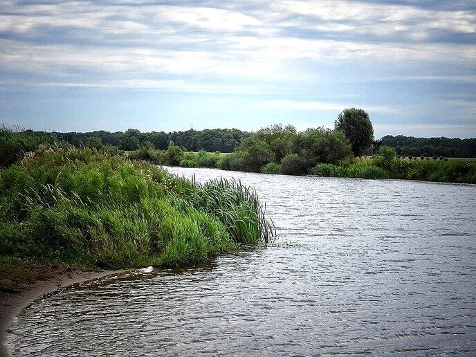 Bellingeweer (1) - Foto: Femmie Smink