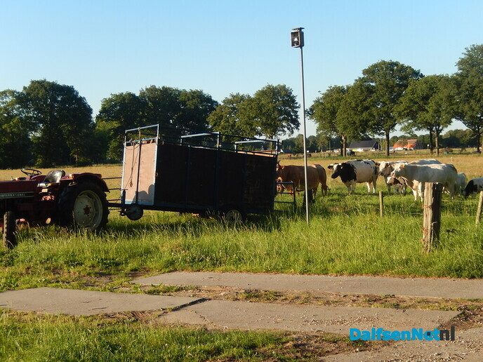 Platteland in hartje zomer - Foto: Willy