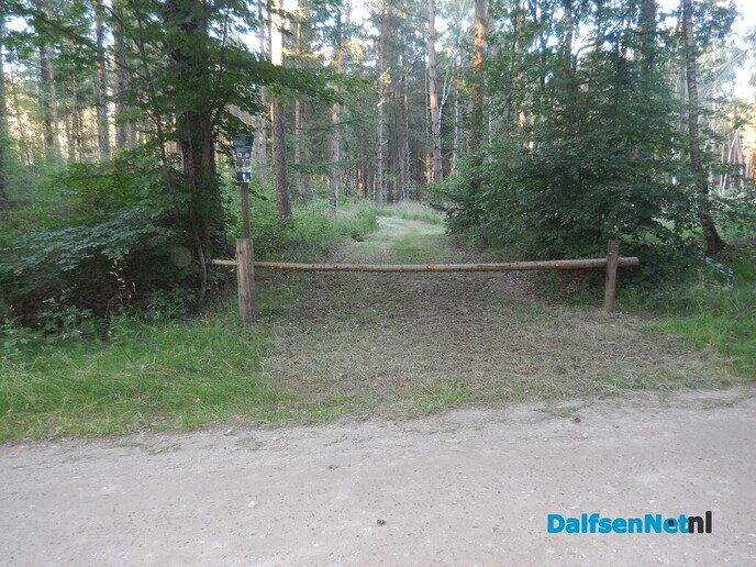 De bospaden zijn weer geschoren - Foto: Willy