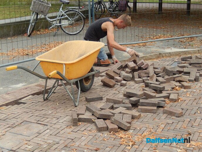 Complimenten van een trouwe kijker - Foto: Willy