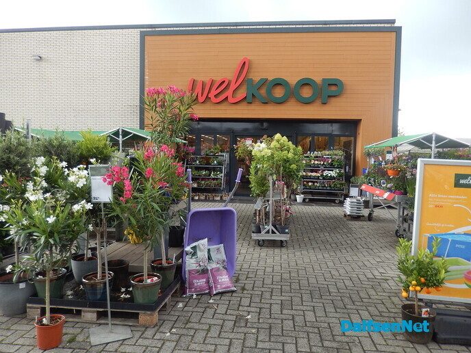 Met dit weer moeten de bloemen en planten de grond in - Foto: Willy