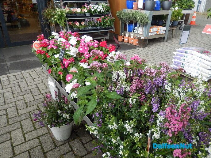 Met dit weer moeten de bloemen en planten de grond in - Foto: Willy