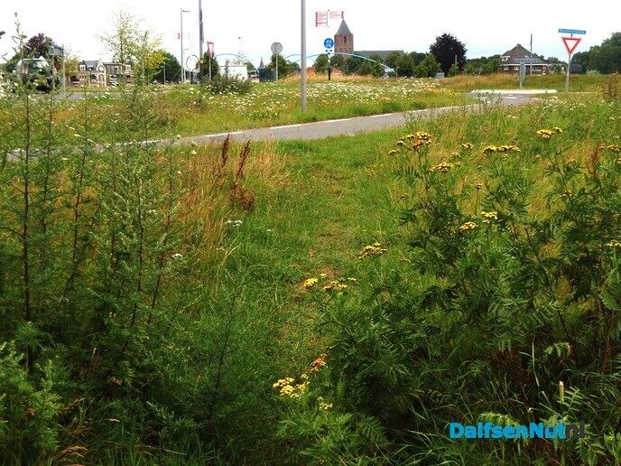 De donderdagochtenden zijn altijd super gezellig in Dalfsen - Foto: Willy