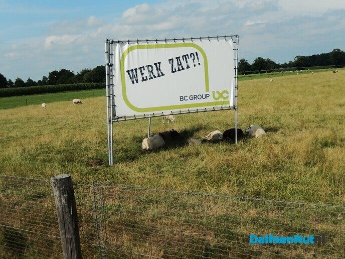 Warm zat, zal je bedoelen - Foto: Willy