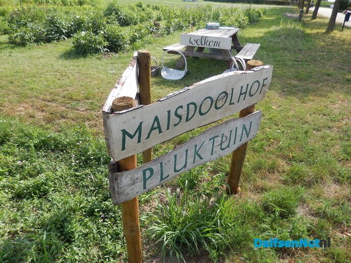 Even bij Marleen op bezoek - Foto: Willy