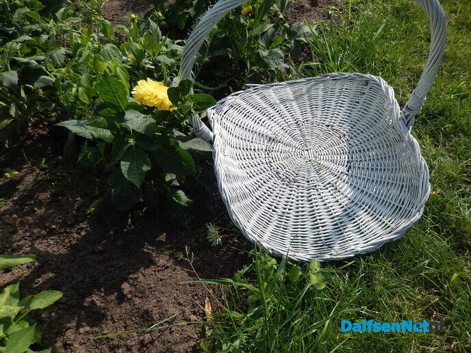 Even bij Marleen op bezoek - Foto: Willy