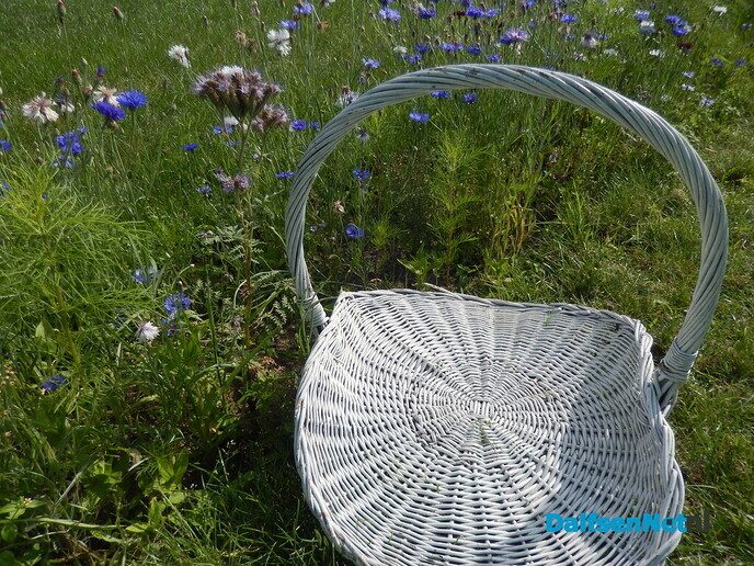 Even bij Marleen op bezoek - Foto: Willy