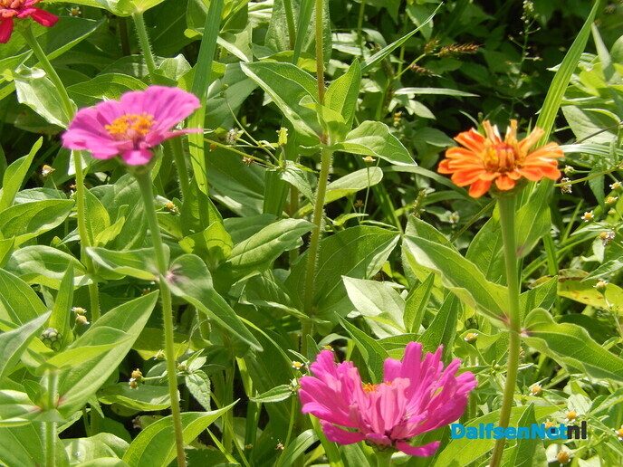 Even bij Marleen op bezoek - Foto: Willy