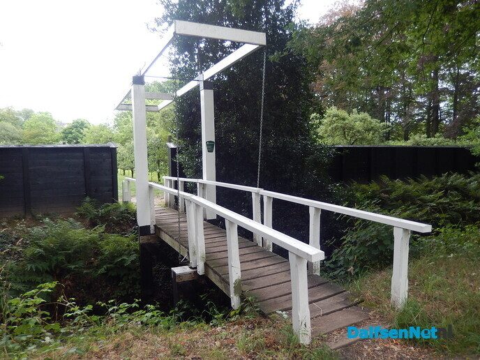 Even in de tuin van Henri kijken - Foto: Willy