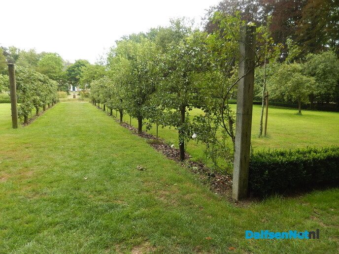 Even in de tuin van Henri kijken - Foto: Willy