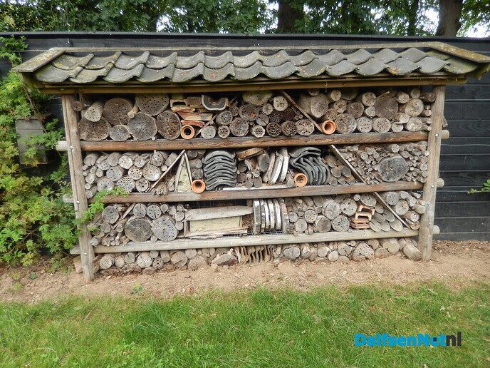 Even in de tuin van Henri kijken - Foto: Willy