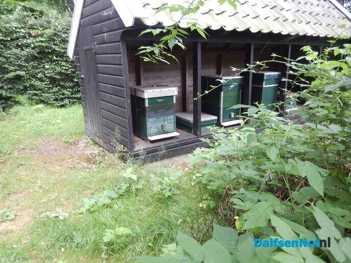 Even in de tuin van Henri kijken - Foto: Willy