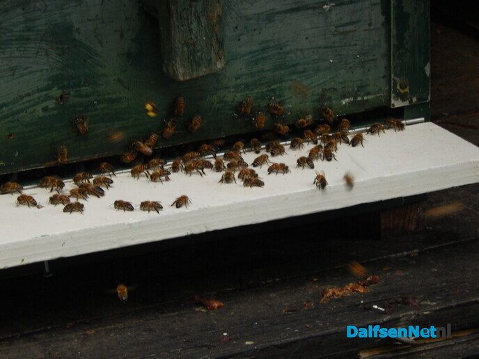 Even in de tuin van Henri kijken - Foto: Willy