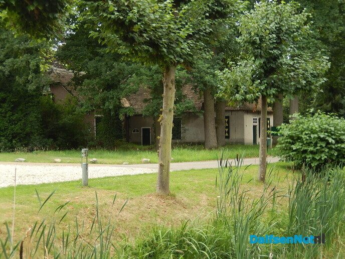 Even in de tuin van Henri kijken - Foto: Willy