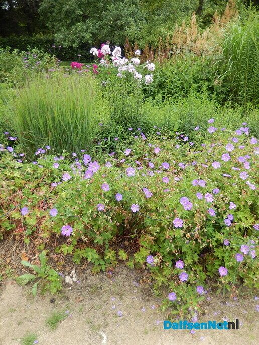 Even in de tuin van Henri kijken - Foto: Willy