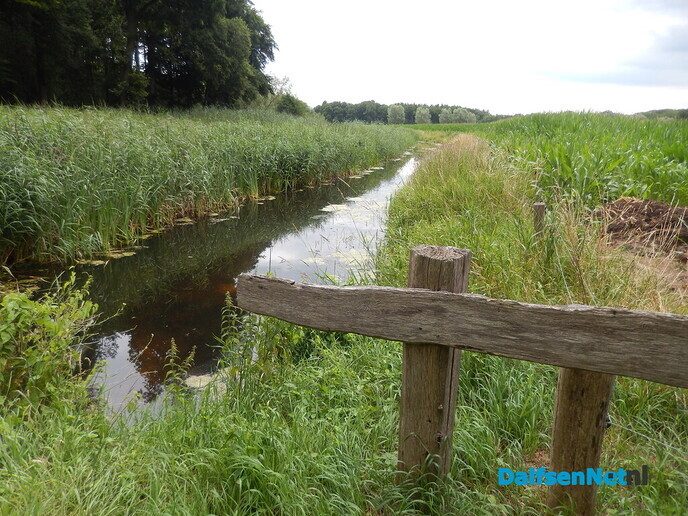 Even in de tuin van Henri kijken - Foto: Willy