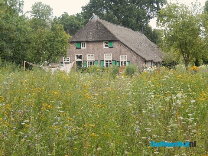 Prachtige boerderijen en huizen in Rouwveen - Foto: Willy