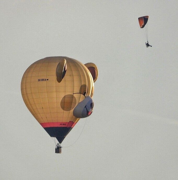 Ballonvaart Staphorst: nu met foto’s - Foto: Femmie Smink